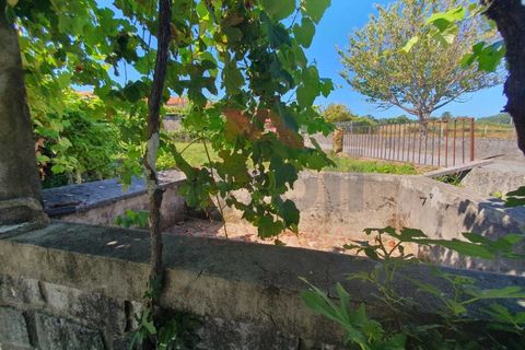 Villa i Viana do Castelo, Viana do Castelo, Viana do Castelo - € 200.000 | Ref: AVV-2340-AM-0824 - foto 15