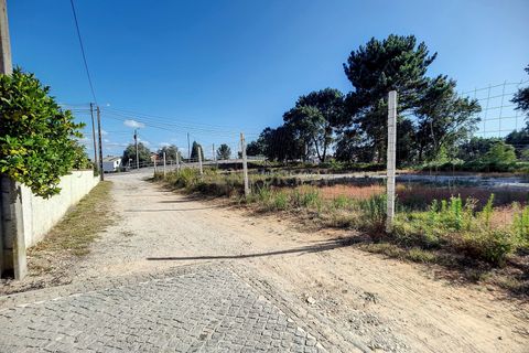 Terra a Barro, Aveiro, Barro - € 50.000 | Ref: C0385-00636 - foto 2
