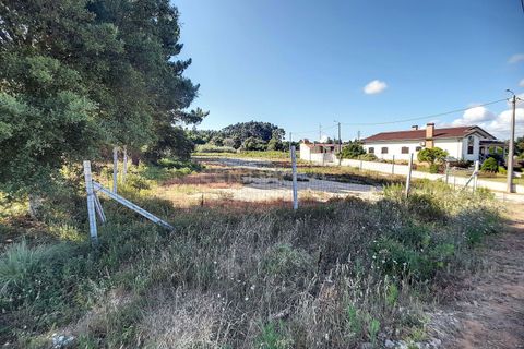 Terra a Barro, Aveiro, Barro - € 50.000 | Ref: C0385-00636 - foto 3