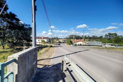 Terra a Barro, Aveiro, Barro - € 50.000 | Ref: C0385-00636 - foto 5