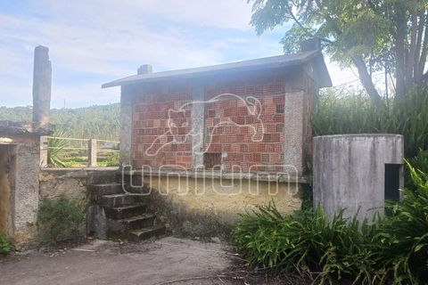Villa i Viana do Castelo, Viana do Castelo, Viana do Castelo - € 320.000 | Ref: R5116 - foto 20