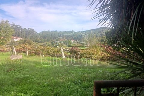 Villa i Viana do Castelo, Viana do Castelo, Viana do Castelo - € 320.000 | Ref: R5116 - foto 25
