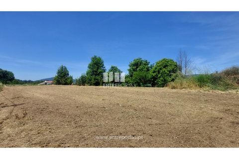 Helårsgrund i Caminha, Viana do Castelo, Caminha - € 132.000 | Ref: C02869 - foto 3