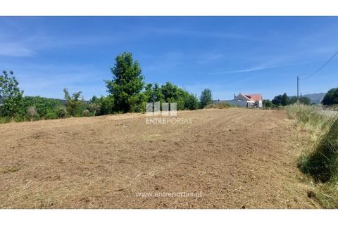 Helårsgrund i Caminha, Viana do Castelo, Caminha - € 132.000 | Ref: C02869 - foto 7