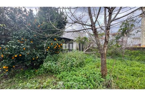 Villa i Viana do Castelo, Viana do Castelo, Viana do Castelo - € 320.000 | Ref: VCM14387 - foto 14