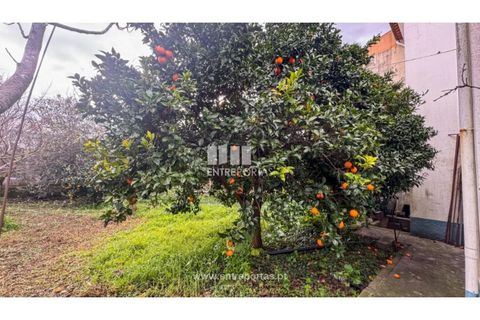 Villa i Viana do Castelo, Viana do Castelo, Viana do Castelo - € 320.000 | Ref: VCM14387 - foto 17