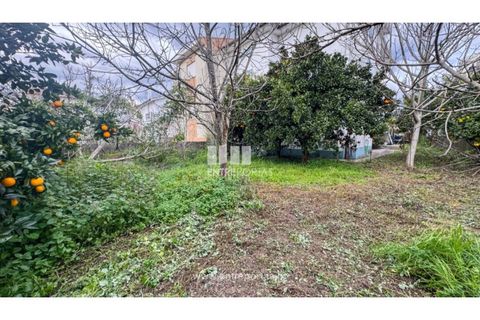Villa i Viana do Castelo, Viana do Castelo, Viana do Castelo - € 320.000 | Ref: VCM14387 - foto 31