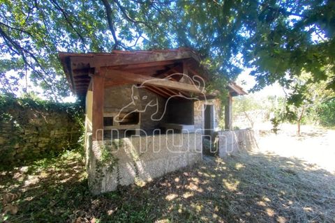 Villa a Barroselas, Viana do Castelo, Barroselas - € 785.000 | Ref: R5035 - foto 19