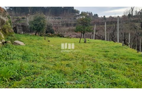Helårsgrund i Amarante, Porto, Amarante - € 42.500 | Ref: MC09772 - foto 1