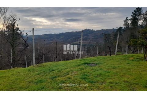 Helårsgrund i Amarante, Porto, Amarante - € 42.500 | Ref: MC09772 - foto 2