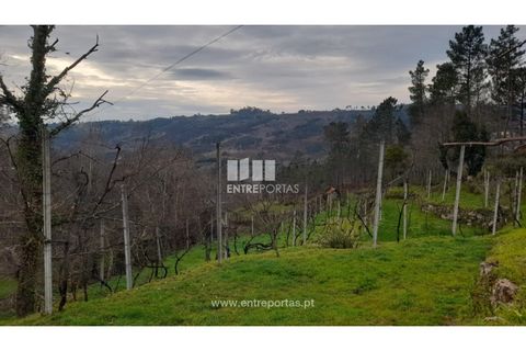 Helårsgrund i Amarante, Porto, Amarante - € 42.500 | Ref: MC09772 - foto 3