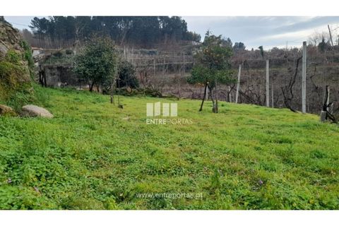 Helårsgrund i Amarante, Porto, Amarante - € 42.500 | Ref: MC09772 - foto 4