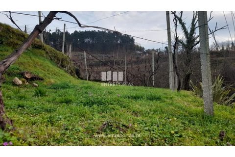 Helårsgrund i Amarante, Porto, Amarante - € 42.500 | Ref: MC09772 - foto 5