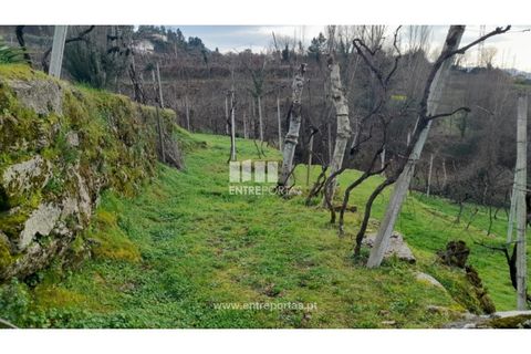 Helårsgrund i Amarante, Porto, Amarante - € 42.500 | Ref: MC09772 - foto 8