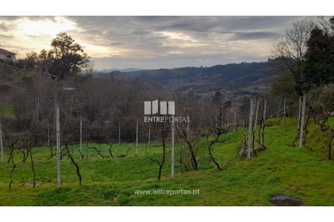 Helårsgrund i Amarante, Porto, Amarante - € 42.500 | Ref: MC09772 - foto 9