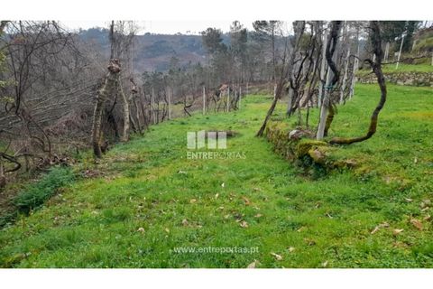 Helårsgrund i Amarante, Porto, Amarante - € 42.500 | Ref: MC09772 - foto 10