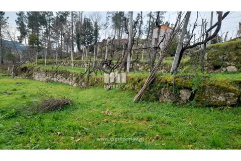 Helårsgrund i Amarante, Porto, Amarante - € 42.500 | Ref: MC09772 - foto 11