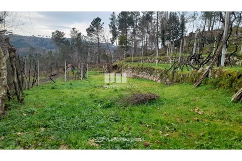 Helårsgrund i Amarante, Porto, Amarante - € 42.500 | Ref: MC09772 - foto 12