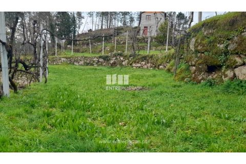 Helårsgrund i Amarante, Porto, Amarante - € 42.500 | Ref: MC09772 - foto 13