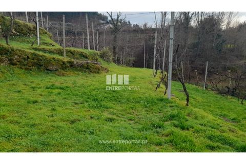 Helårsgrund i Amarante, Porto, Amarante - € 42.500 | Ref: MC09772 - foto 14