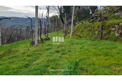 Helårsgrund i Amarante, Porto, Amarante - € 42.500 | Ref: MC09772 - foto 15