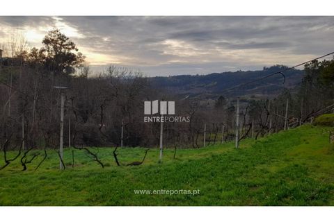 Helårsgrund i Amarante, Porto, Amarante - € 42.500 | Ref: MC09772 - foto 16