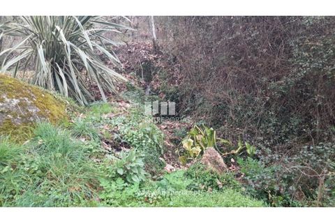 Helårsgrund i Amarante, Porto, Amarante - € 42.500 | Ref: MC09772 - foto 17