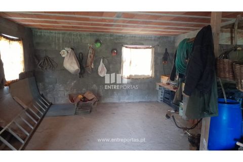 Helårsgrund i Amarante, Porto, Amarante - € 42.500 | Ref: MC09772 - foto 19