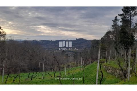 Helårsgrund i Amarante, Porto, Amarante - € 42.500 | Ref: MC09772 - foto 23