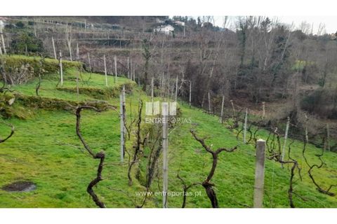 Helårsgrund i Amarante, Porto, Amarante - € 42.500 | Ref: MC09772 - foto 24