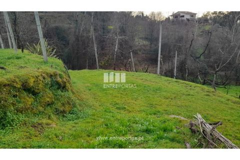 Helårsgrund i Amarante, Porto, Amarante - € 42.500 | Ref: MC09772 - foto 25