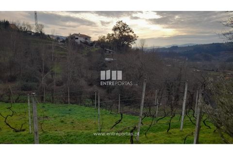 Helårsgrund i Amarante, Porto, Amarante - € 42.500 | Ref: MC09772 - foto 26