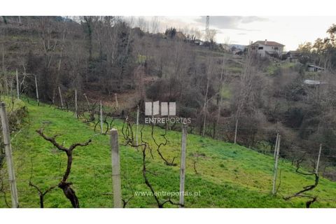 Helårsgrund i Amarante, Porto, Amarante - € 42.500 | Ref: MC09772 - foto 28