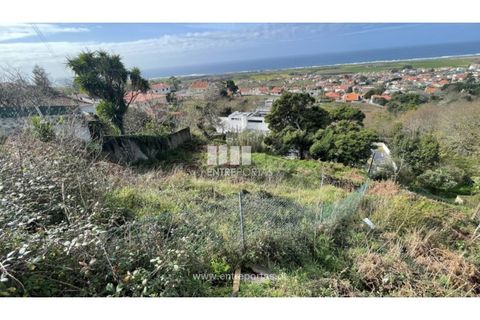 Terra a Areosa, Viana do Castelo, Areosa - € 147.500 | Ref: VCM14380 - foto 2