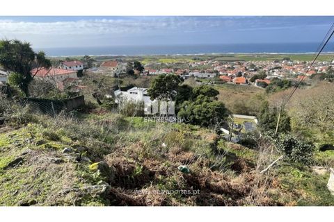 Terra a Areosa, Viana do Castelo, Areosa - € 147.500 | Ref: VCM14380 - foto 3
