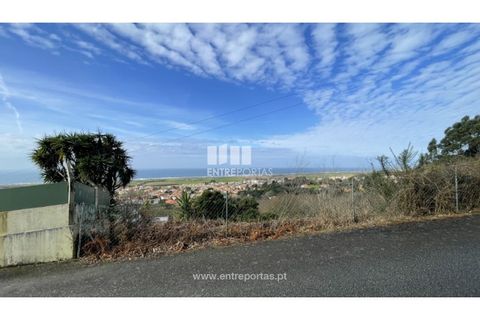 Terra a Areosa, Viana do Castelo, Areosa - € 147.500 | Ref: VCM14380 - foto 11