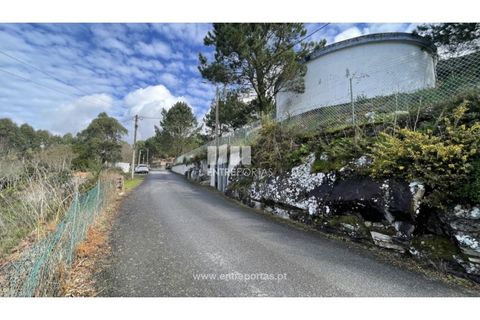 Terra a Areosa, Viana do Castelo, Areosa - € 147.500 | Ref: VCM14380 - foto 13
