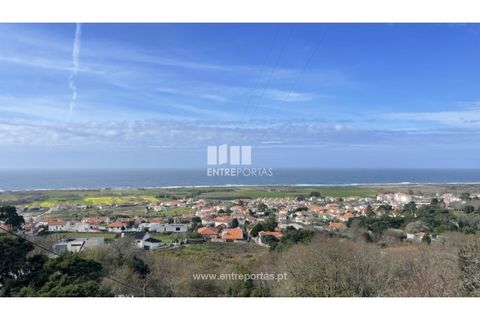 Terra a Areosa, Viana do Castelo, Areosa - € 147.500 | Ref: VCM14380 - foto 18