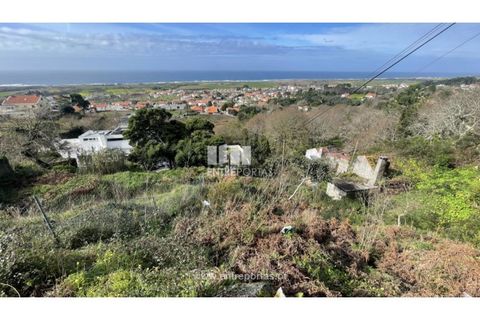 Terra a Areosa, Viana do Castelo, Areosa - € 147.500 | Ref: VCM14380 - foto 19