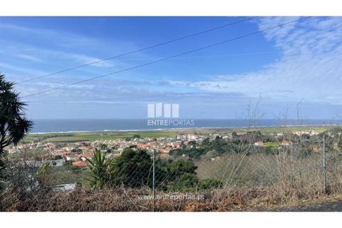 Terra a Areosa, Viana do Castelo, Areosa - € 147.500 | Ref: VCM14380 - foto 23