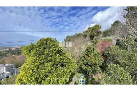 Terra a Areosa, Viana do Castelo, Areosa - € 147.500 | Ref: VCM14380 - foto 27