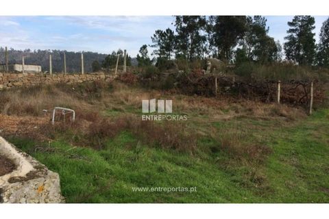 Helårsgrund i Penafiel, Porto, Penafiel - € 67.500 | Ref: MC08054 - foto 2