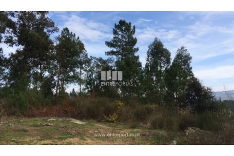 Helårsgrund i Penafiel, Porto, Penafiel - € 67.500 | Ref: MC08054 - foto 5