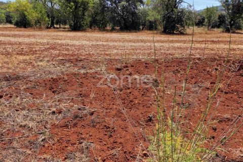 Helårsgrund i Benafim, Faro, Benafim - € 40.000 | Ref: ZMPT558350 - foto 14