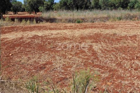 Helårsgrund i Benafim, Faro, Benafim - € 40.000 | Ref: ZMPT558350 - foto 4