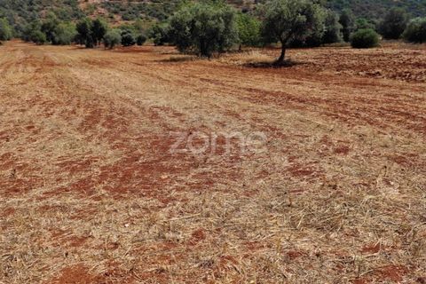Helårsgrund i Benafim, Faro, Benafim - € 40.000 | Ref: ZMPT558350 - foto 6