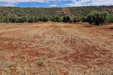 Helårsgrund i Benafim, Faro, Benafim - € 40.000 | Ref: ZMPT558350 - foto 7