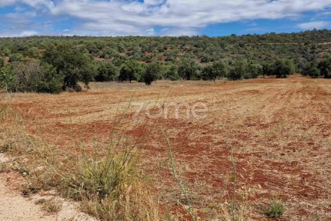 Helårsgrund i Benafim, Faro, Benafim - € 40.000 | Ref: ZMPT558350 - foto 8