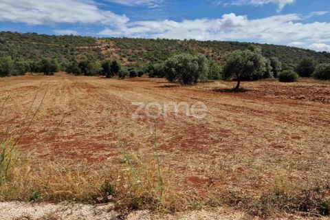 Helårsgrund i Benafim, Faro, Benafim - € 40.000 | Ref: ZMPT558350 - foto 9