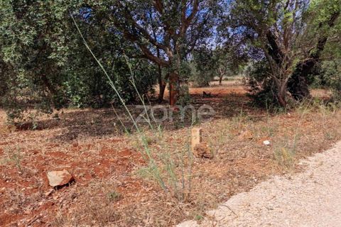 Helårsgrund i Benafim, Faro, Benafim - € 40.000 | Ref: ZMPT558350 - foto 10